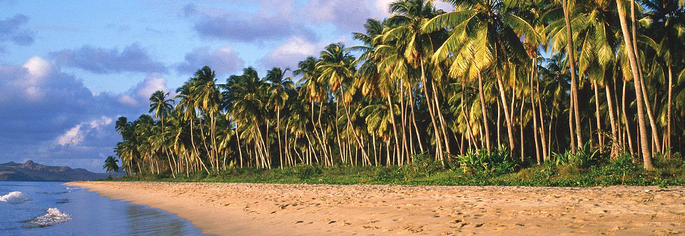 Pinney's Beach, St. Nevis, Cruise Destination and cruise port of call