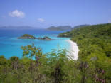 trunk bay st john usvi