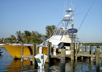 venice florida area fishing charters